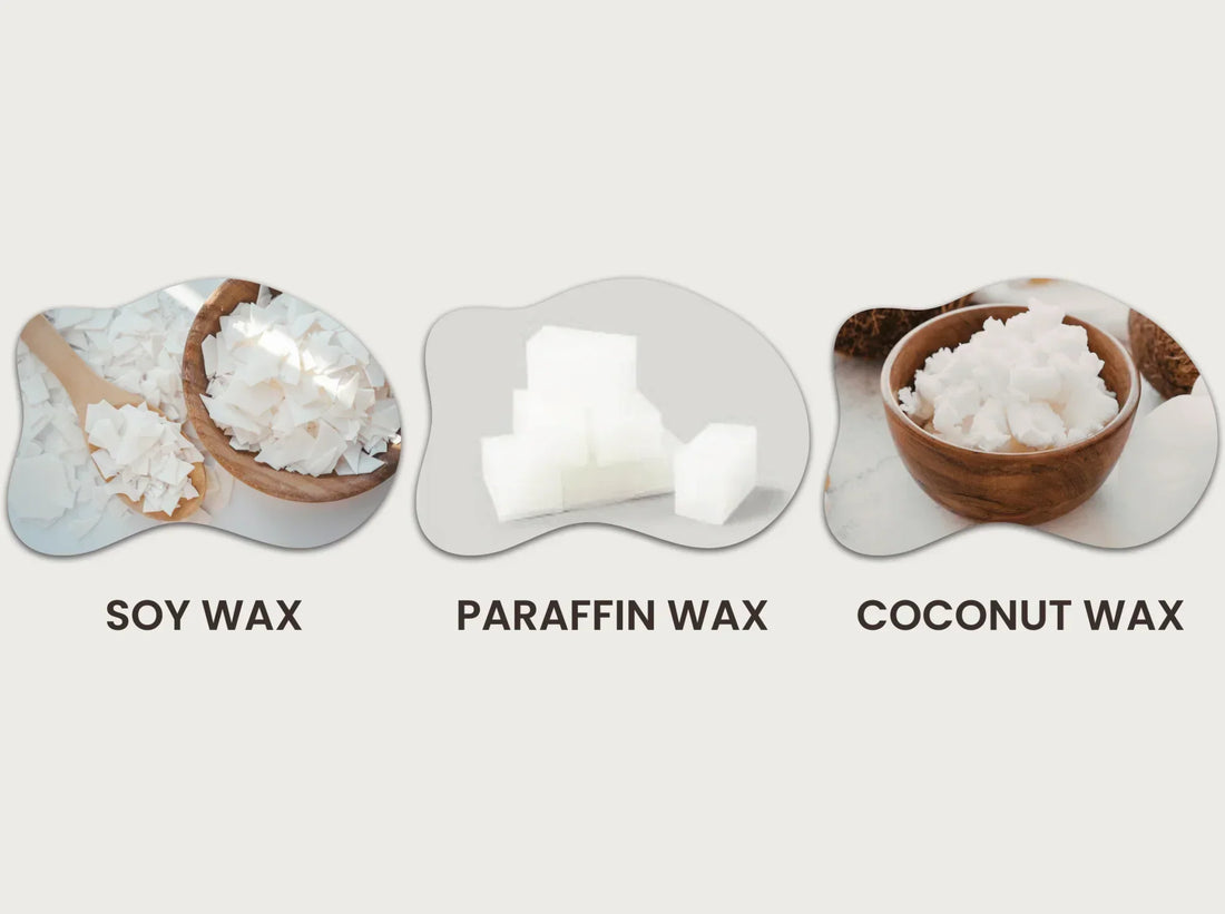 Coconut Wax — And Why It Changes Everything