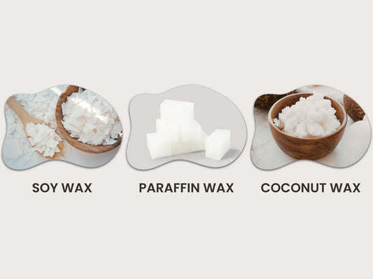 Coconut Wax — And Why It Changes Everything